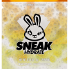 ELECTRIC MANGO HYDRATE 5 SERVINGS